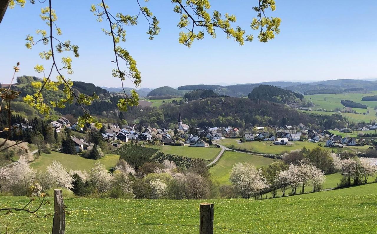 Fewo Auszeit Zum Anspel Medebach Luaran gambar